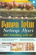 Panen Telur Setiap Hari Dari Kandang 100 m2