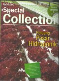 Peluan Pasar Hidroponik