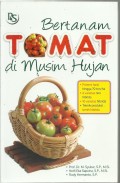 Bertanam Tomat di Musim Hujan
