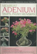 Membuat Adenium Tampil Indah Menawan