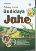 Peluang Usaha
Budidaya Jahe