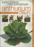 Kunci Sukses Memperbanyak Anthurium (Daun)