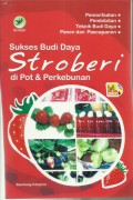 Sukses Budi Daya
Strobery
di Pot & Perkebunan